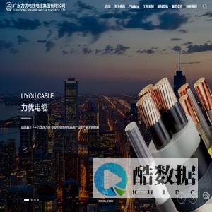 广东力优电线电缆集团有限公司