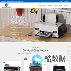 BAOCHEN VISUAL-established in February 2019