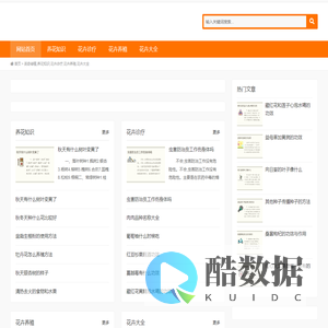 腾立网络科技