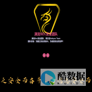 渊龙Sec安全团队官网