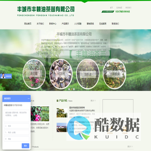 丰城市岗霞丰赣高产油茶苗有限公司