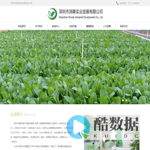 深圳市润泰实业发展有限公司