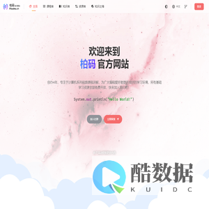 柏码 - 让每一行代码都闪耀智慧的光芒