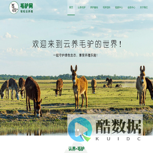 英大驴掌柜毛驴网