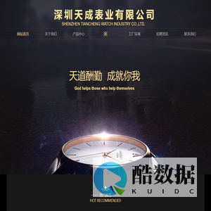 深圳天成表业有限公司