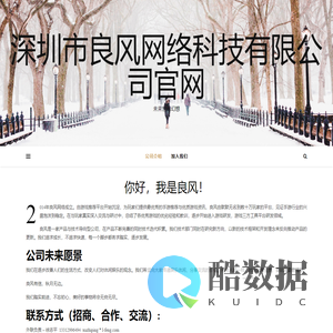 深圳市良风网络科技有限公司官网