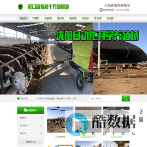 海福特牛,进口海福特牛,海福特牛场养殖基地