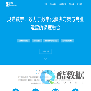 灵猫LINGMAO,灵猫数字 | 致力于数字化解决方案与商业运营的深度融合
