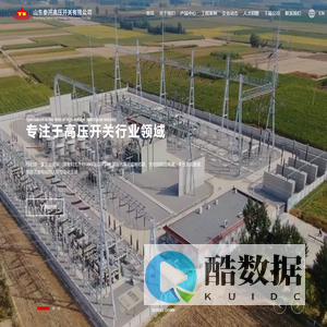 山东泰开高压开关有限公司