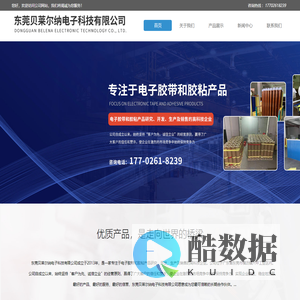 东莞贝莱尔纳电子科技有限公司