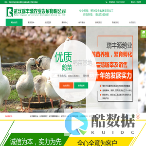 武汉瑞丰源农业发展有限公司主要提供禽类产品孵化、销售、屠宰加工一体化服务，欢迎随时来电咨询
