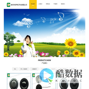 扬声器，传声电子，泉州市传声电子科技有限公司，喇叭