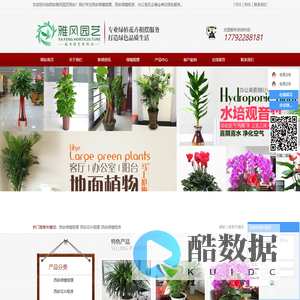 西安绿植租摆_西安花卉租摆_西安绿植租赁-西安雅风企业管理有限公司