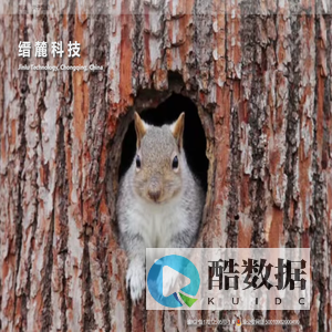 重庆缙麓科技有限公司