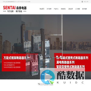 TSV4_浙江森泰电器有限公司
