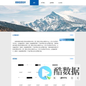 上海硕保信息技术有限公司