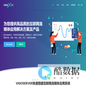 VIGOSEE