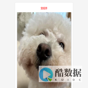 宠视界