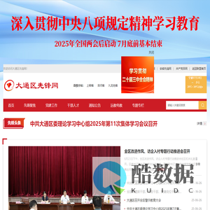 大通区先锋网
