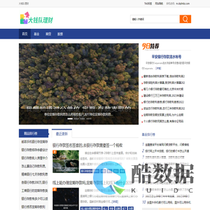 大钱队理财
