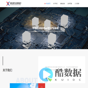 湖北新为光微电子有限公司