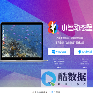 小鸟动态壁纸官网——动态桌面壁纸下载-成都盈畅时代文化传播有限公司