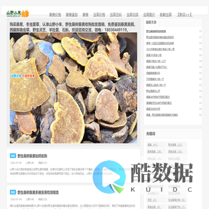 桑黄价格多少钱一斤_野生桑树桑黄批发购买_山野小朱