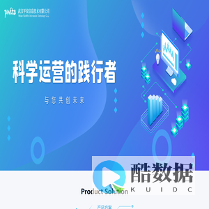 武汉平纹信息技术有限公司