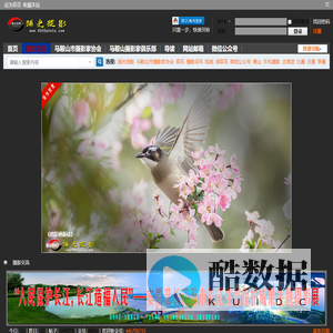 捕光捉影网