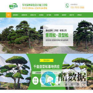 造型松-造型油松-黑松盆景-别墅庭院景观松-山东泰安莱芜造型松基地