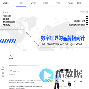 业询科技