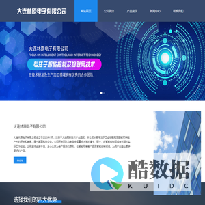 大连林原电子有限公司