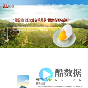 连城白鸭