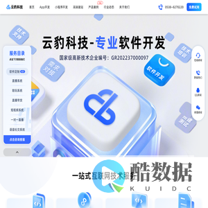 定制开发APP