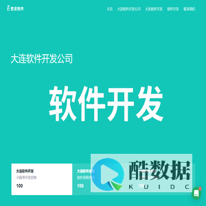 大连软件外包公司-软件开发-定制