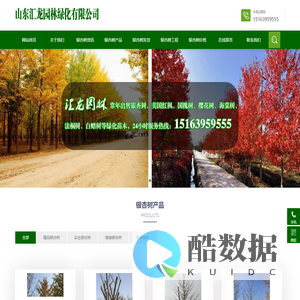银杏树|山东银杏树|银杏树价格|银杏树基地 - 山东汇龙园林绿化有限公司