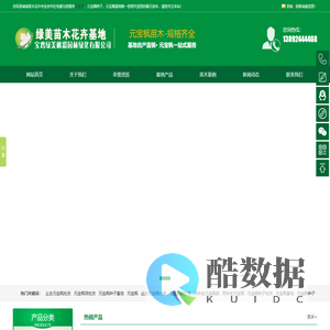 元宝枫 元宝枫种子 元宝枫基地 元宝枫苗价格-绿美苗木基地直销