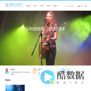 上海两埃三电子有限公司