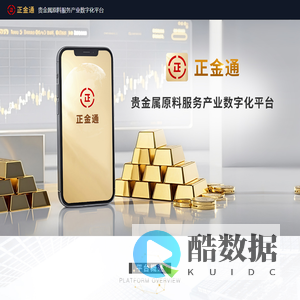 正金通官网
