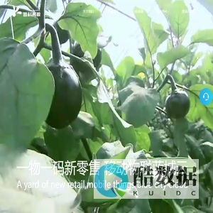新零售系统解决方案,服务热线：022