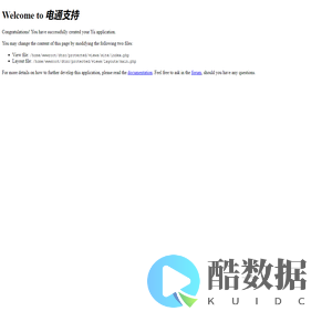 电通支持