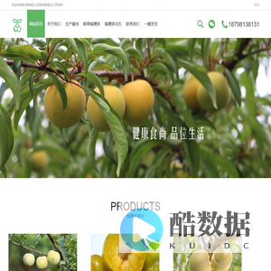 蜂糖李批发_蜂糖李_镇宁蜂糖李_贵州黔城匠心网络有限责任公司