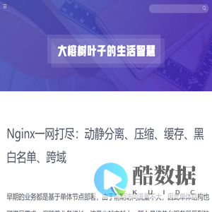 大榕树叶子的生活智慧