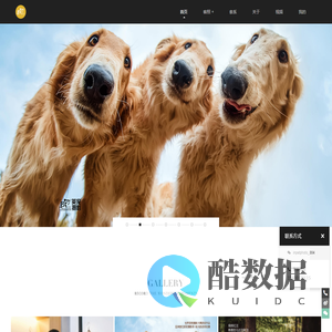 英宠摄影inpetphoto