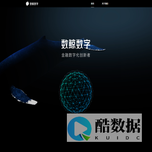 数鲸数字-数字金融创新者