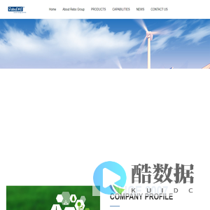 REBO GROUP INC