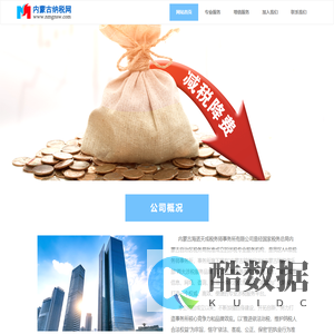 内蒙古纳税网