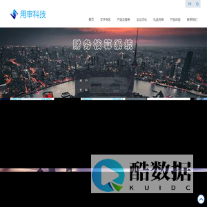 用审科技