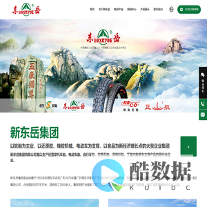 新东岳集团有限公司