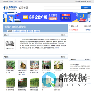 英德龙竹苗麻竹苗基地公司